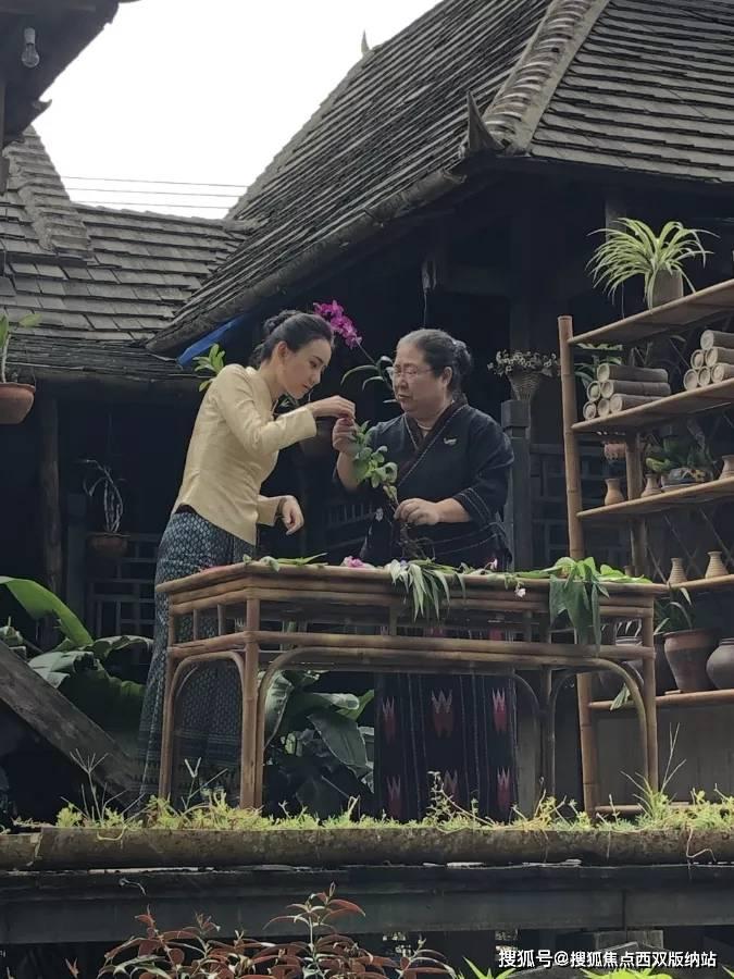 卡萨离开LPL后很凄凉,打不过新人,还被拿照片疯狂上嘴脸